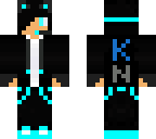 husky v2