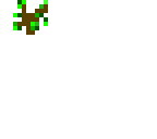 sapling