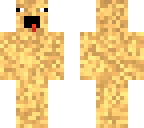 ugly lizard