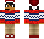 chistmas sweater