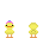 duck