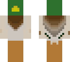 mallard duck