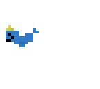 narwhal
