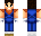 shinvegetto