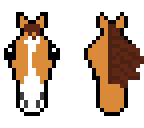 starwarshorse