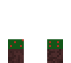an apple tree