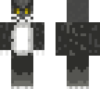 black cat