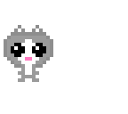 gray kitten