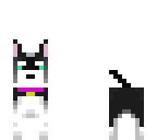chien husky