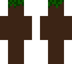 dirt