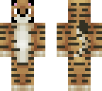 orange tabby cat