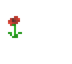 poppy flower