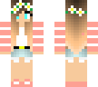 aurora vipenguin 2