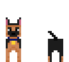el perro