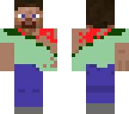 hobo steve