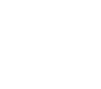mini bone