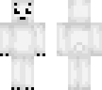 polar bear-ice bear