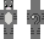 cat skin