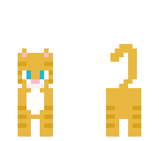 ginger cat