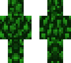 leaves rock skin