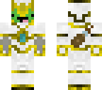 turtle paladin