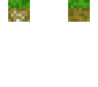 grass