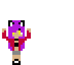 mini michi
