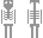 skeleton