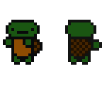 turtle