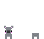 a koala for youse
