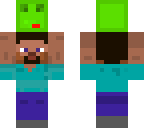 mini steve