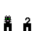 night vision cat