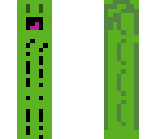 derpy cactus