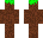 grass