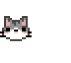 kitten 
