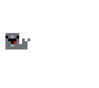 narwhale
