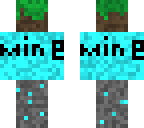 mine_the_craft skin