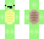 fixed turtle