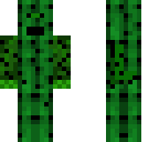 lupix kaktus
