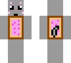 the nyan cat 