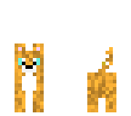 cute dog
