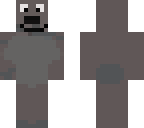 funky koala