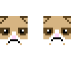 grumpy cat