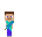 mini steve