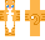 orange kitten