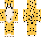 cheetah