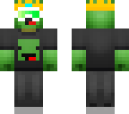 derp turtle
