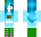 skin minecraft
