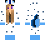carnaval skin