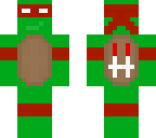 tortuga ninja